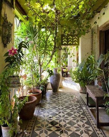 Interior Landscaping