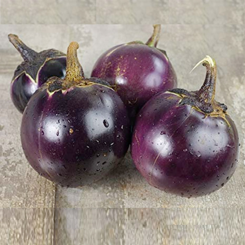 The Lizzie Eggplant