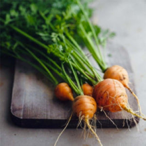The Jupiter Carrot